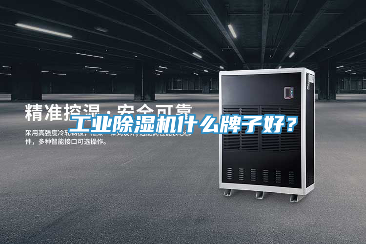 工業(yè)除濕機(jī)什么牌子好？