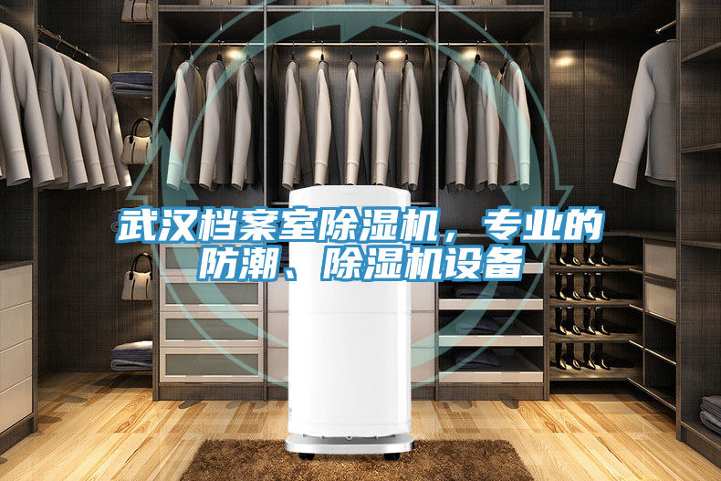 武漢檔案室除濕機(jī)，專(zhuān)業(yè)的防潮、除濕機(jī)設(shè)備