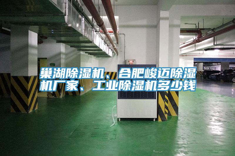 巢湖除濕機、合肥峻邁除濕機廠家、工業(yè)除濕機多少錢