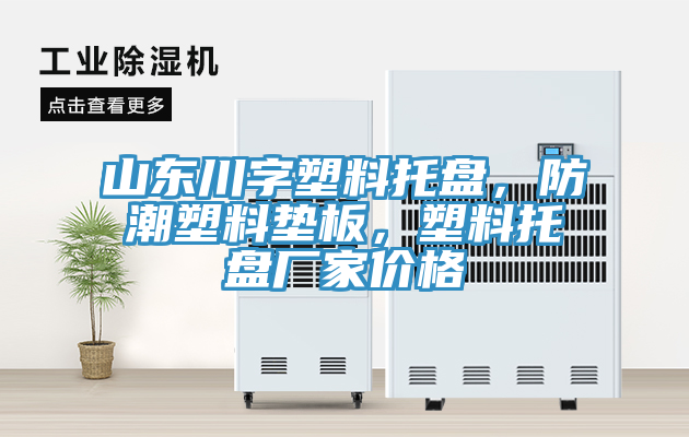 山東川字塑料托盤，防潮塑料墊板，塑料托盤廠家價(jià)格