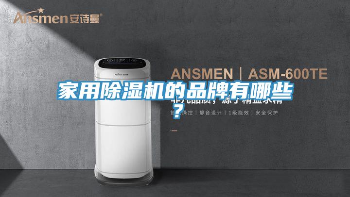 家用除濕機的品牌有哪些？