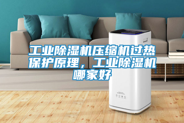 工業(yè)除濕機壓縮機過熱保護原理，工業(yè)除濕機哪家好
