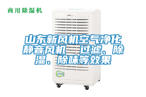 山東新風(fēng)機(jī)空氣凈化靜音風(fēng)機(jī)  過濾、除濕、除味等效果