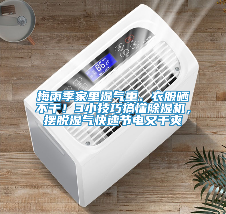 梅雨季家里濕氣重、衣服曬不干！3小技巧搞懂除濕機，擺脫濕氣快速節(jié)電又干爽