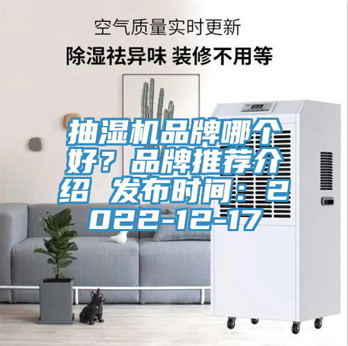 抽濕機品牌哪個好？品牌推薦介紹 發(fā)布時間：2022-12-17