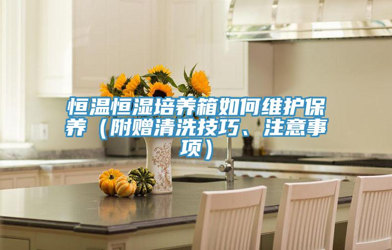 恒溫恒濕培養(yǎng)箱如何維護保養(yǎng)（附贈清洗技巧、注意事項）