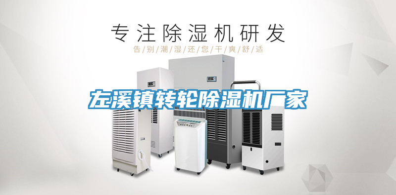 左溪鎮(zhèn)轉(zhuǎn)輪除濕機(jī)廠(chǎng)家
