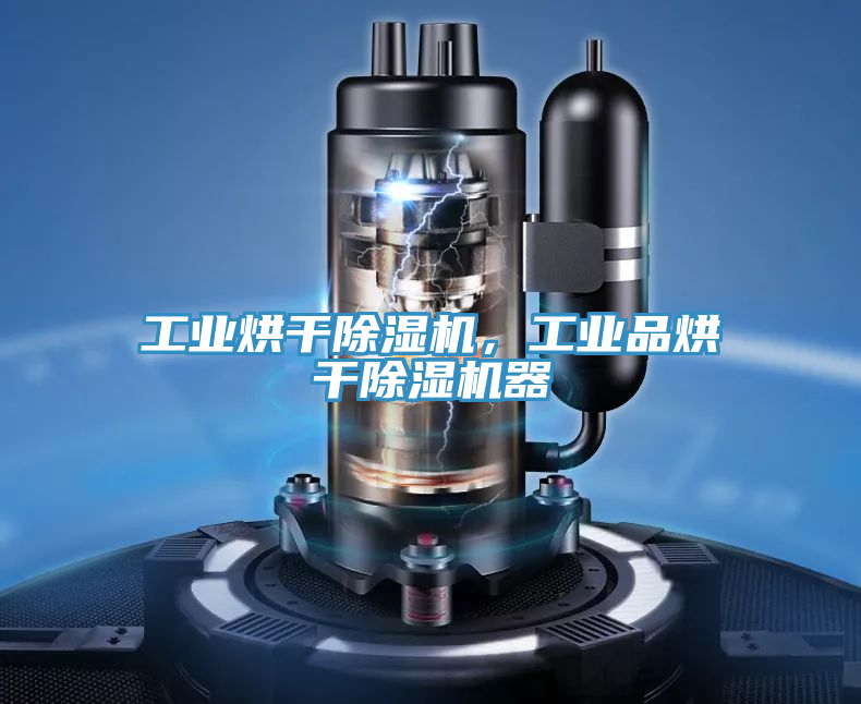 工業(yè)烘干除濕機(jī)，工業(yè)品烘干除濕機(jī)器