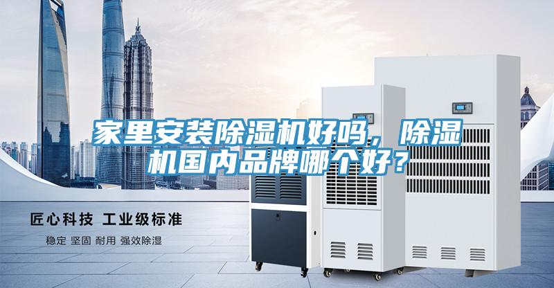 家里安裝除濕機好嗎，除濕機國內品牌哪個好？