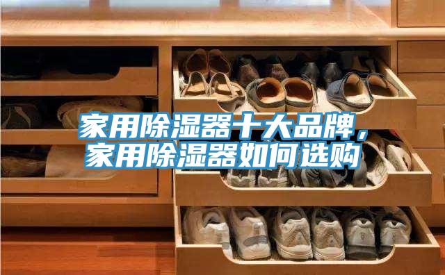 家用除濕器十大品牌，家用除濕器如何選購