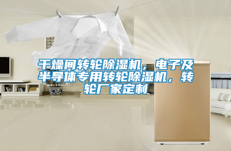 干燥間轉(zhuǎn)輪除濕機(jī)，電子及半導(dǎo)體專用轉(zhuǎn)輪除濕機(jī)，轉(zhuǎn)輪廠家定制