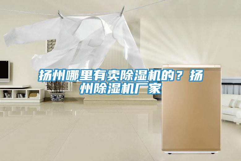 揚(yáng)州哪里有賣除濕機(jī)的？揚(yáng)州除濕機(jī)廠家