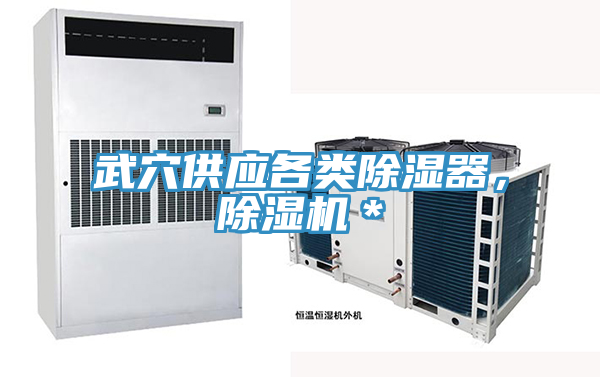 武穴供應(yīng)各類除濕器，除濕機(jī)＊