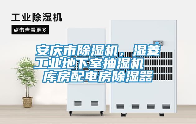 安慶市除濕機，濕菱工業(yè)地下室抽濕機  庫房配電房除濕器