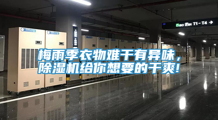 梅雨季衣物難干有異味，除濕機(jī)給你想要的干爽!