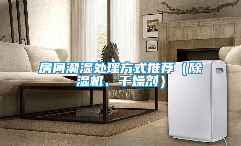 房間潮濕處理方式推薦（除濕機(jī)、干燥劑）