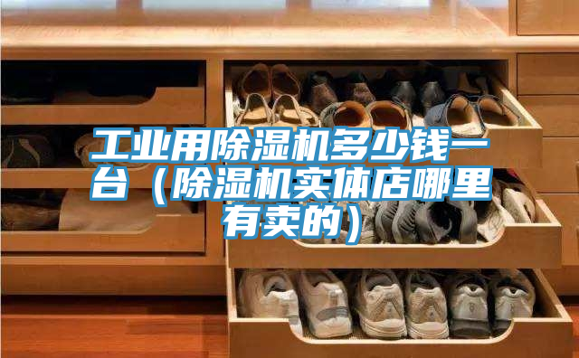 工業(yè)用除濕機(jī)多少錢一臺（除濕機(jī)實體店哪里有賣的）