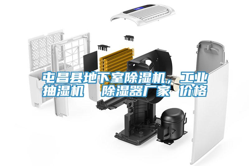 屯昌縣地下室除濕機(jī)，工業(yè)抽濕機(jī)  除濕器廠家 價(jià)格