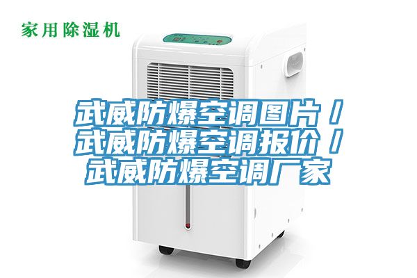 武威防爆空調圖片／武威防爆空調報價／武威防爆空調廠家