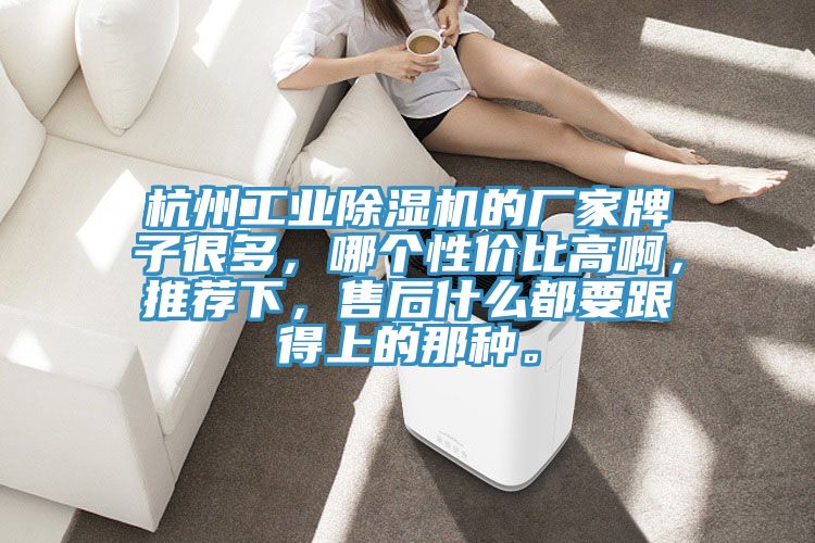 杭州工業(yè)除濕機(jī)的廠家牌子很多，哪個(gè)性價(jià)比高啊，推薦下，售后什么都要跟得上的那種。