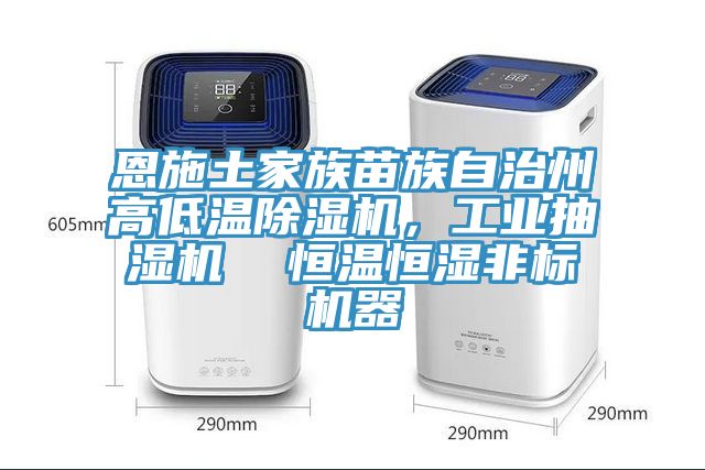 恩施土家族苗族自治州高低溫除濕機，工業(yè)抽濕機  恒溫恒濕非標機器