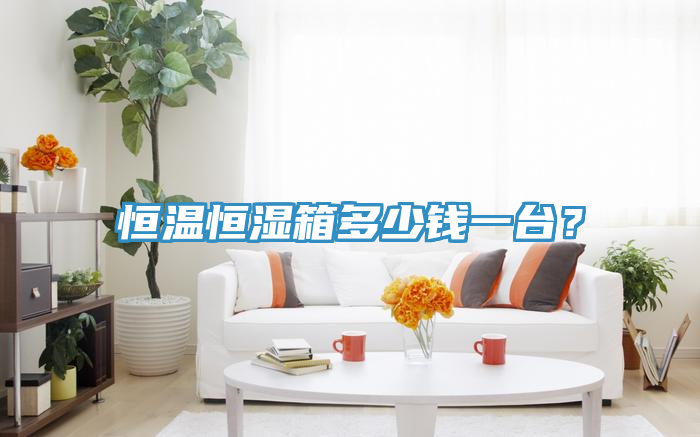 恒溫恒濕箱多少錢一臺？