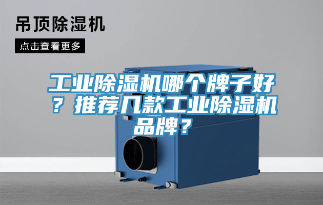 工業(yè)除濕機(jī)哪個(gè)牌子好？推薦幾款工業(yè)除濕機(jī)品牌？