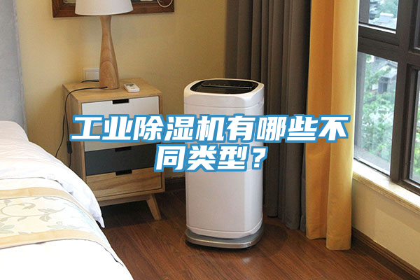 工業(yè)除濕機(jī)有哪些不同類型？
