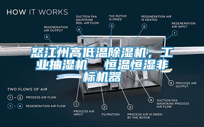怒江州高低溫除濕機(jī)，工業(yè)抽濕機(jī)  恒溫恒濕非標(biāo)機(jī)器
