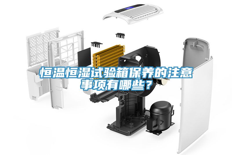 恒溫恒濕試驗箱保養(yǎng)的注意事項有哪些？