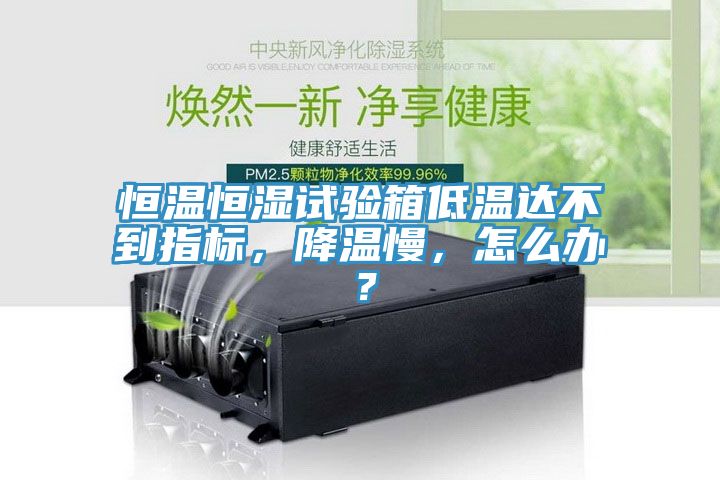 恒溫恒濕試驗(yàn)箱低溫達(dá)不到指標(biāo)，降溫慢，怎么辦？