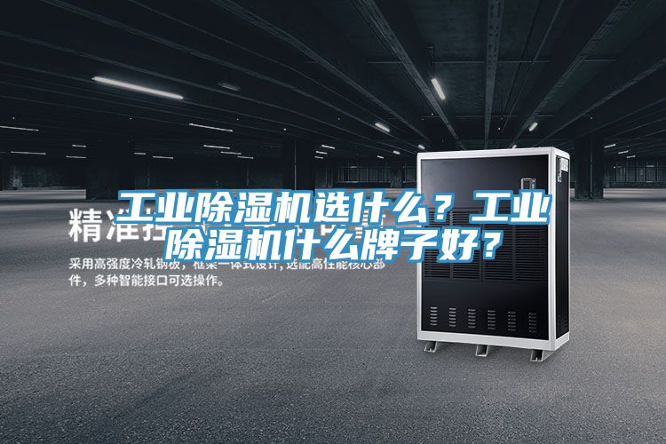 工業(yè)除濕機(jī)選什么？工業(yè)除濕機(jī)什么牌子好？