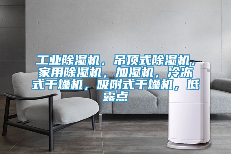 工業(yè)除濕機(jī)，吊頂式除濕機(jī)，家用除濕機(jī)，加濕機(jī)，冷凍式干燥機(jī)，吸附式干燥機(jī)，低露點(diǎn)