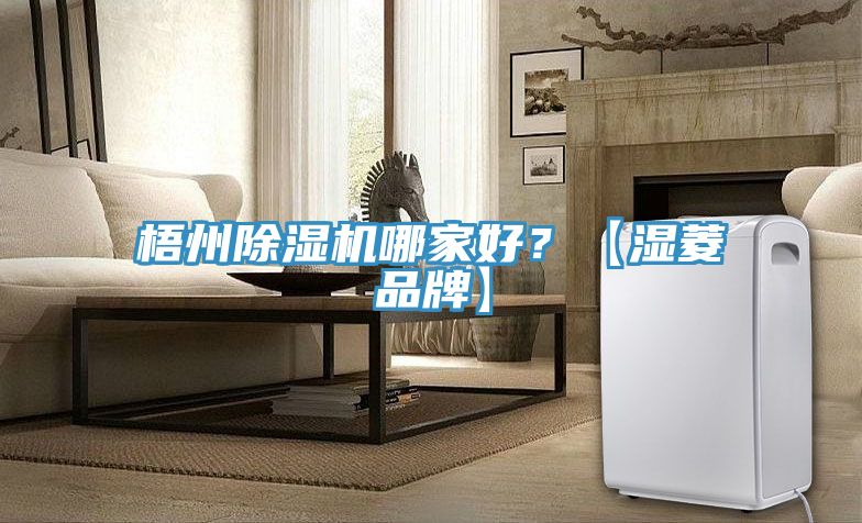 梧州除濕機(jī)哪家好？【濕菱品牌】