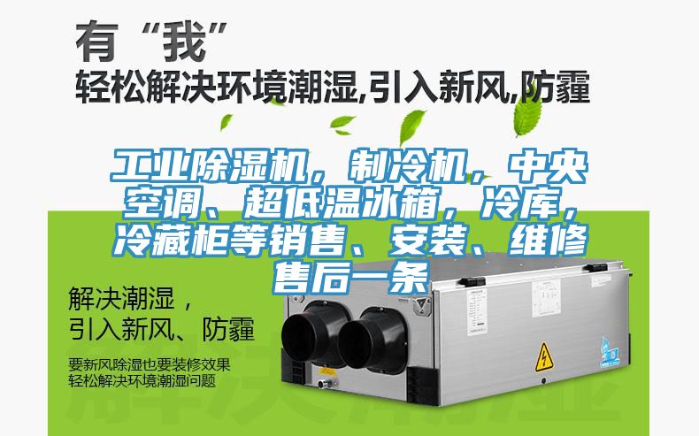 工業(yè)除濕機(jī)，制冷機(jī)，中央空調(diào)、超低溫冰箱，冷庫(kù)，冷藏柜等銷(xiāo)售、安裝、維修售后一條