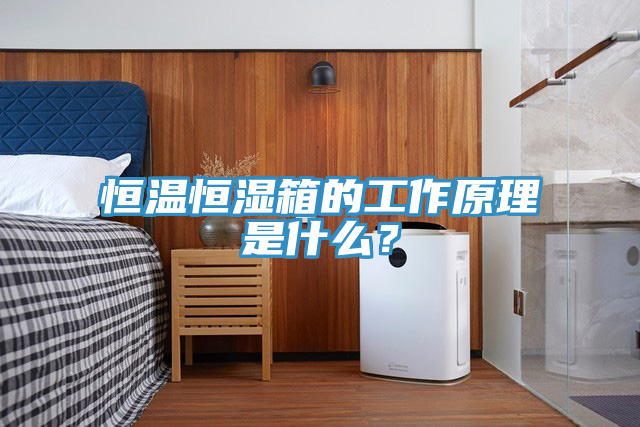 恒溫恒濕箱的工作原理是什么？