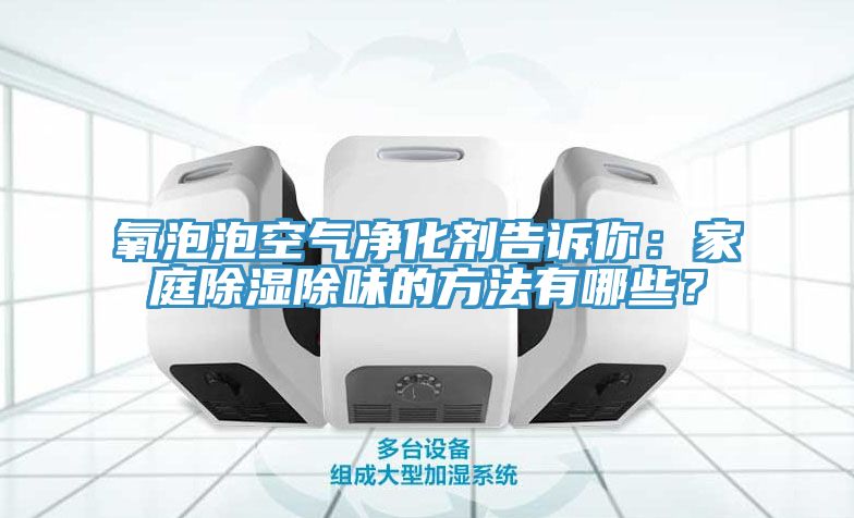 氧泡泡空氣凈化劑告訴你：家庭除濕除味的方法有哪些？