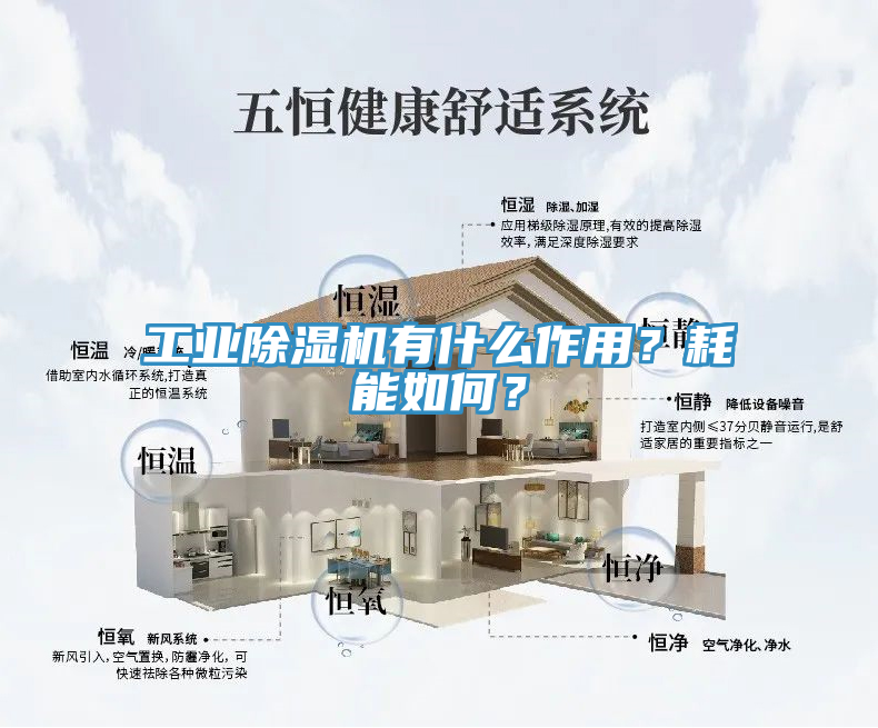 工業(yè)除濕機(jī)有什么作用？耗能如何？