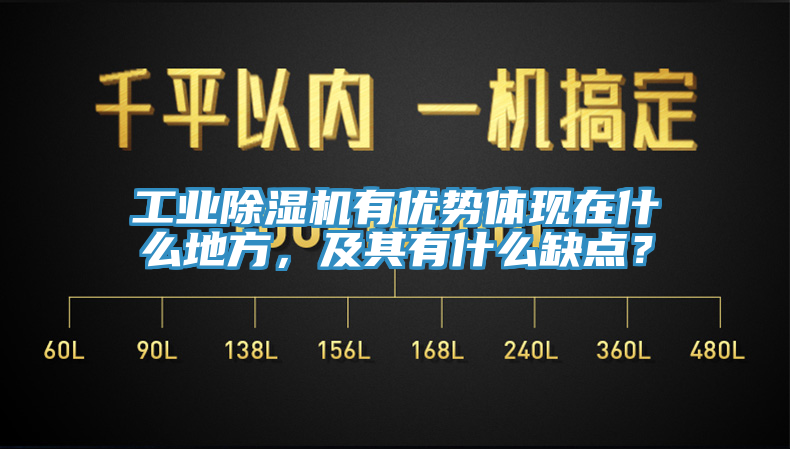 工業(yè)除濕機(jī)有優(yōu)勢(shì)體現(xiàn)在什么地方，及其有什么缺點(diǎn)？
