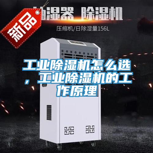 工業(yè)除濕機怎么選，工業(yè)除濕機的工作原理