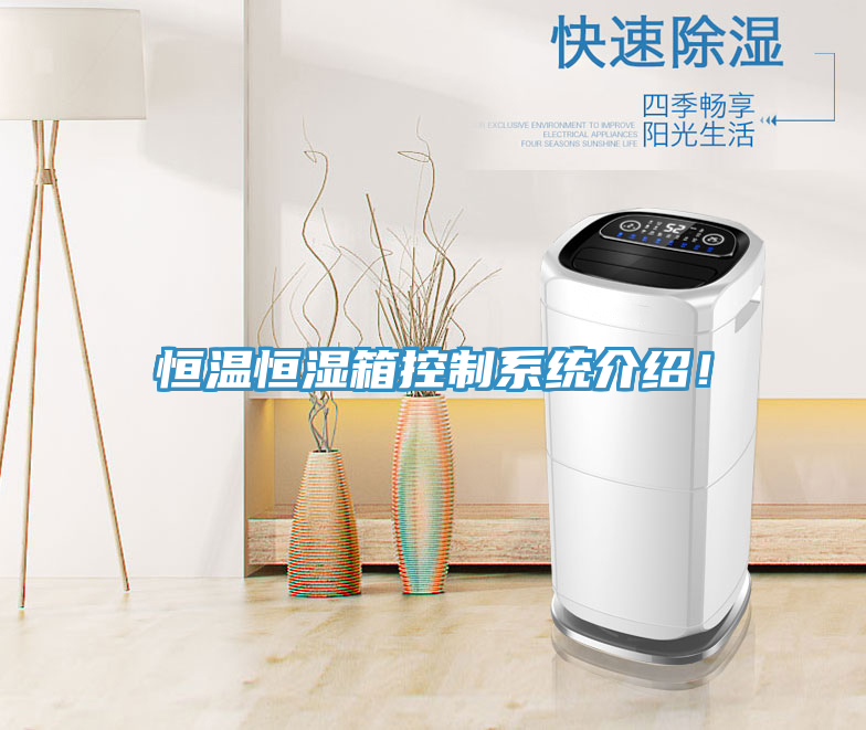 恒溫恒濕箱控制系統(tǒng)介紹！