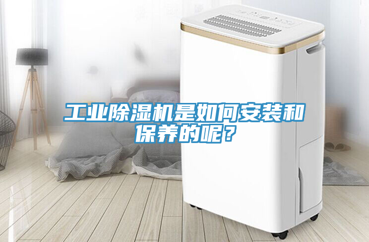工業(yè)除濕機(jī)是如何安裝和保養(yǎng)的呢？