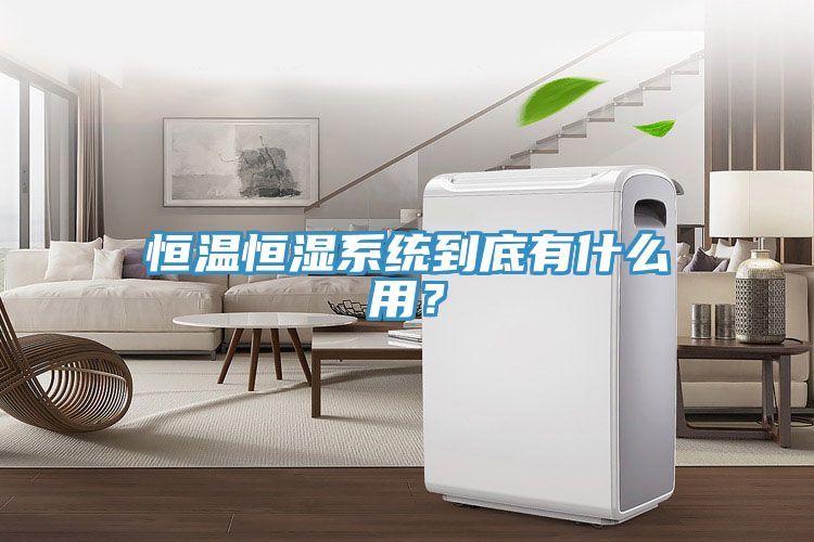 恒溫恒濕系統(tǒng)到底有什么用？
