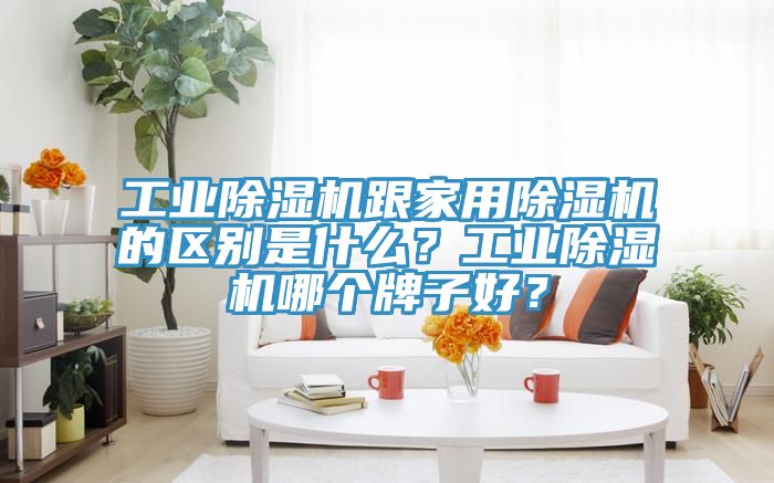 工業(yè)除濕機(jī)跟家用除濕機(jī)的區(qū)別是什么？工業(yè)除濕機(jī)哪個(gè)牌子好？