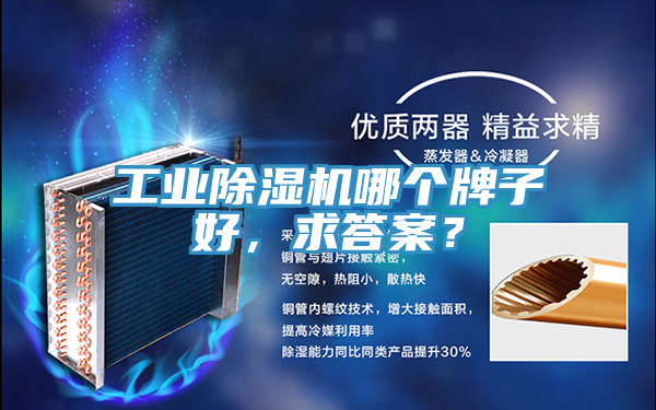 工業(yè)除濕機(jī)哪個(gè)牌子好，求答案？