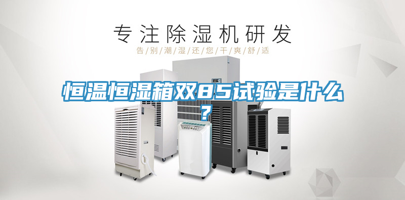 恒溫恒濕箱雙85試驗(yàn)是什么？