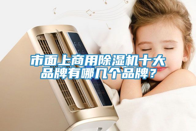 市面上商用除濕機(jī)十大品牌有哪幾個(gè)品牌？