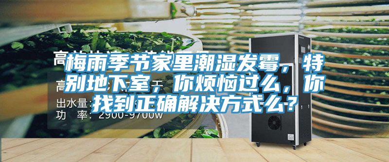 梅雨季節(jié)家里潮濕發(fā)霉，特別地下室，你煩惱過么，你找到正確解決方式么？