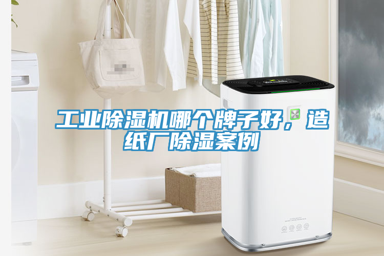 工業(yè)除濕機(jī)哪個(gè)牌子好，造紙廠除濕案例