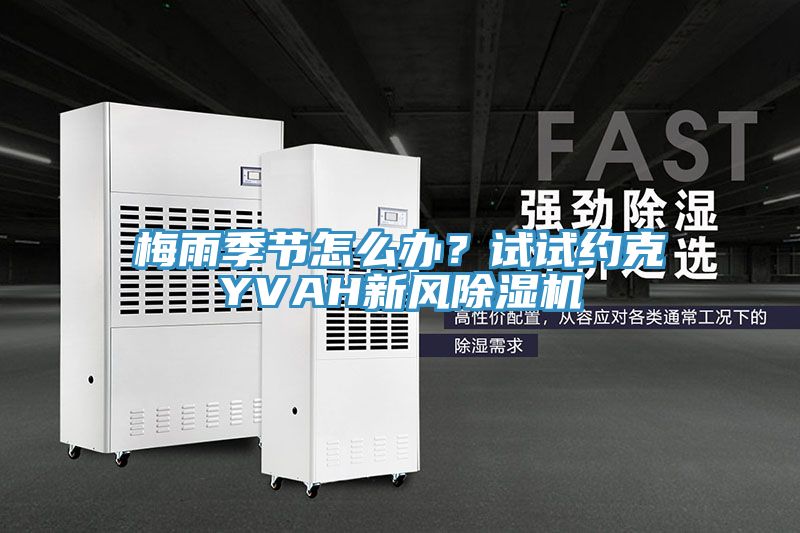 梅雨季節(jié)怎么辦？試試約克YVAH新風(fēng)除濕機(jī)